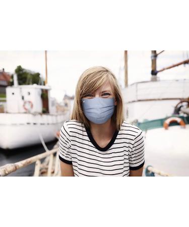 Pale Male Box Fabric Face Mask - Water Repellent, Pleated Style with Nose Wire - Gray Blue Pink - Medium - Buy Online on GoSupps.com