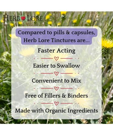 Herb Lore Organic Blessed Thistle for Breastfeeding Support - Liquid Lactation Supplement - 4 fl oz - Buy Online on GoSupps.com