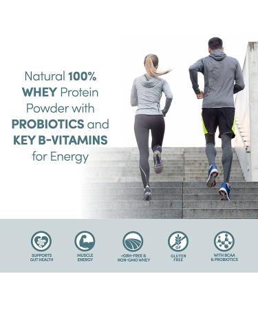 Designer Whey Natural 100% Whey Protein Powder - Gluten-Free, Non-GMO, Probiotics & Key B-Vitamins - 12 oz Unflavored - Buy Online on GoSupps.com