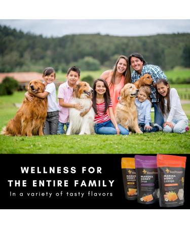BeePower All Natural Manuka Honey Lozenges | Contains 40 Lozenges 6.7 Oz MGO 500+ (Black Elderberry) - Buy Online on GoSupps.com