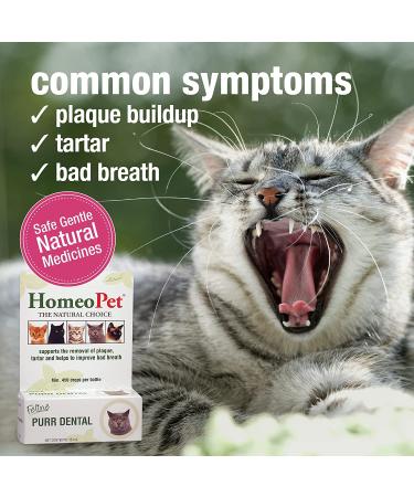HomeoPet Feline Purr Dental Care for Cats - 15mL - Buy Online on GoSupps.com