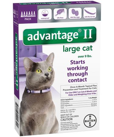 Advantage II Large Cat 6Pack