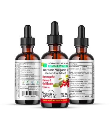 Berberis Vulgaris Q - Mother Tincture - Natural Kidney Cleanse and Gallbladder Protection - Detoxifying Strength for Discomfort Nausea Urinary System - 2fl.Oz - WellnessHerbs Ships from USA