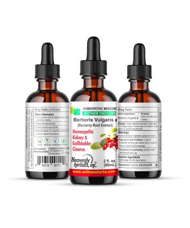 Berberis Vulgaris Q - Mother Tincture - Natural Kidney Cleanse and Gallbladder Protection - Detoxifying Strength for Discomfort Nausea Urinary System - 2fl.Oz - WellnessHerbs Ships from USA - Buy Online on GoSupps.com