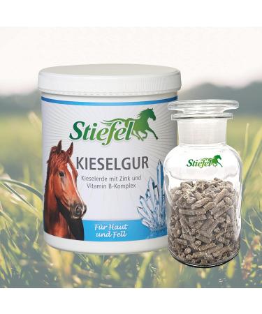 Stiefel diatom es 1 kg - Buy Online on GoSupps.com