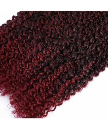 3 Packs Passion Twist Crochet Hair - 12 Inch Kinky Curly Braids for Short Marlybob - T1B/Bug Hair Extensions - Buy Online on GoSupps.com