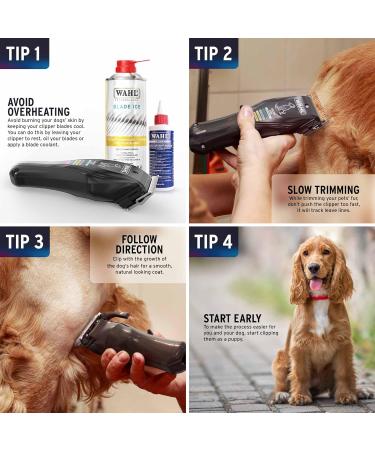 Wahl Colour Pro Rechargeable Pet Clipper Clippers for Dogs - Low Noise Corded/Cordless Grooming Kit with Coded Combs - Black - Buy Online on GoSupps.com