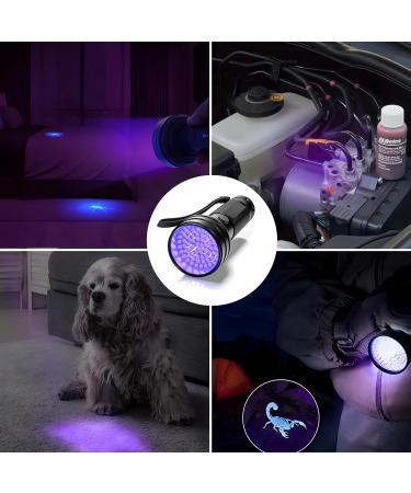 Retoo UV Black Light Flashlight | Spot Dried Stains & Detect Fake Currency | Ideal for Pets & Home Use - Buy Online on GoSupps.com