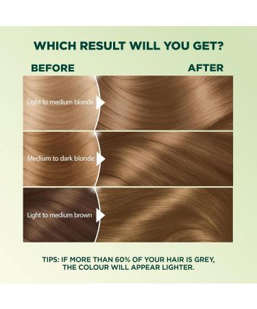 Garnier Nutrisse Ultra Cr me Permanent Hair Dye 100% Grey Coverage Vegan Formula Nourished Hair Long-Lasting Rich Colour 70 Dark Natural Blonde 1 Application Packaging May Vary BLONDE SHADES 70 Natural Blonde - Buy Online on GoSupps.com