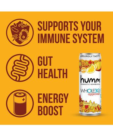 Humm Whole30 Approved Probiotic Kombucha Variety Pack - 2 Billion Probiotics - Organic, Vegan & GMO-Free - No Added Sugar (12 Pack) - Buy Online on GoSupps.com