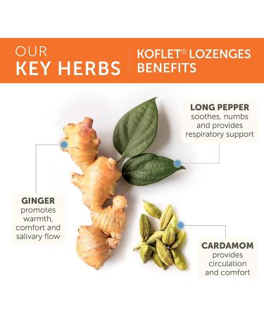 Buy Himalaya Koflet 20 Lozenges for Relief from Cough & Cold - Fast Shipping - Buy Online on GoSupps.com