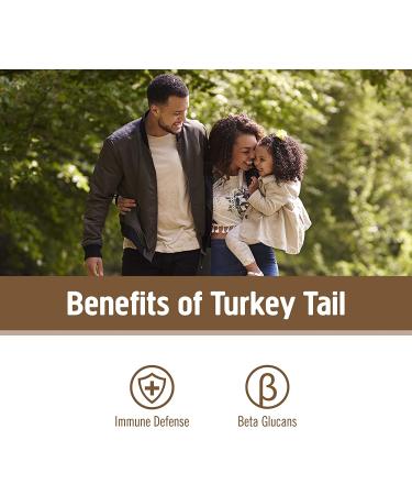 Om Mushroom Superfood Turkey Tail Powder | Organic Immune Support & Gut Health | 3.5 oz | 50 Servings - Buy Online on GoSupps.com