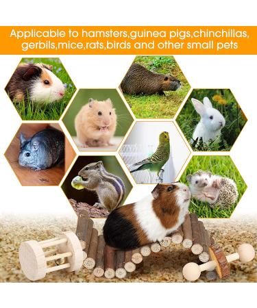 Hamster Chew Toys Set - Wooden Teeth Care Accessories for Small Animals - Ideal for Guinea Pigs, Chinchillas, Gerbils, Mice, Rats - Includes Swing, Seesaw, and Bridge - Buy Online on GoSupps.com