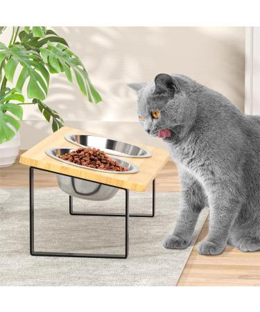 Elevated Cat Bowls with Stand: Tiltable Raised Feeding Station for Cats with 2 Stainless Steel Bowls Black