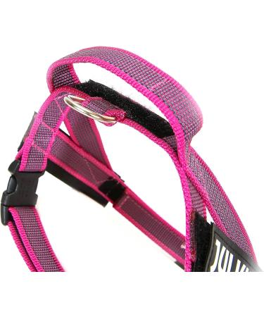 Julius-K9 Belt Harness S/Mini - Color & Gray Pink-Grey | Best International Shipping - Buy Online on GoSupps.com