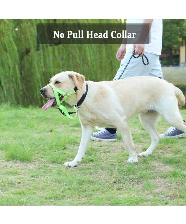 Dog Handlebars for Medium & Large Dogs - Soft Upholstery Durable Halter Training Instructions - L (17.8 - 35.6 cm) Green Nylon/Black Padding - Buy Online on GoSupps.com