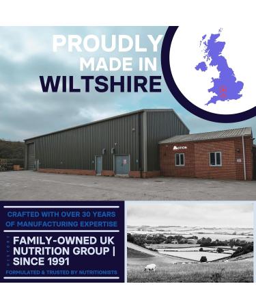 Motion Nutrition Brain & Body Creatine - Creatine Capsules for Increased Power Speed + Mental Performance - Perfect for Sprint/Power-Based Exercise - Improves Psychological Function (120 Capsules) - Buy Online on GoSupps.com