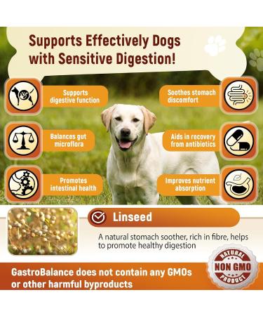 GastroBalance Advanced Probiotics for Gut Health - 60 Vet Recommended Natural Probiotic Chews (Chicken Flavor) - Buy Online on GoSupps.com