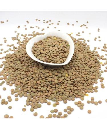 Thames Organic Raw Green Lentils 500g - High Fibre, High Protein, Certified Organic, GMO-Free - Ideal for Meal Prep - Pack of 1 - Buy Online on GoSupps.com