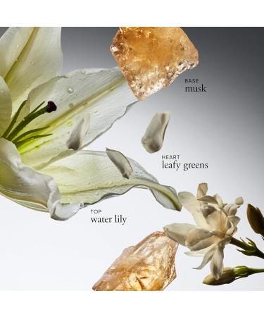 philosophy pure grace eau de toilette - crisp & clean women's perfume - with notes of water lily leafy greens & musk - long lasting fragrance 4 Ounce (Pack of 1) - Buy Online on GoSupps.com