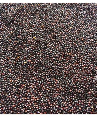 Sabarot - Black Quinoa - Bag 1 kg - Buy Online on GoSupps.com
