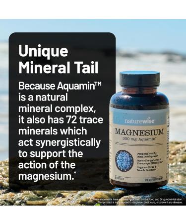 NatureWise 1 Marine Magnesium 300mg - Naturally Sourced Non-GMO - 90 Softgels 60-Day Supply + 1 Ashwagandha for Stress + GABA & L-Theanine - 60 Capsules 30-Day Supply  - Buy Online on GoSupps.com