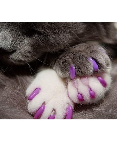 Kitty Caps Nail Caps for Cats in Black/Gray & Baby Blue - Medium Size - Stylish & Safe Claw Covers - 1-Pack - Buy Online on GoSupps.com