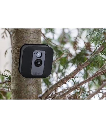 Blink Yard Sign Bundle with Two Window Decals - Increase Home Security - Buy Online on GoSupps.com