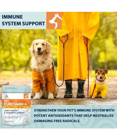 PURICA - Pet Curcumin+ Extra Strength 30 Chewable Tablets - Healthy Flexibility Joint Health and Immunity Support for Dogs Cats and Small Animals - Blend of Potent Antioxidants - Buy Online on GoSupps.com