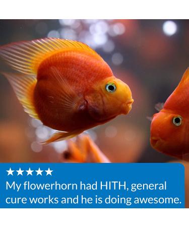 API General Cure 30-Ounce Bulk Box Fish Medication - For Freshwater and Saltwater Fish - Buy Online on GoSupps.com