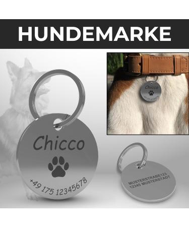 Personalized Stainless Steel Dog Collar with Name Engraving | Best Dog Accessories for Cats & Dogs | 25mm Dog Brand - Buy Online on GoSupps.com