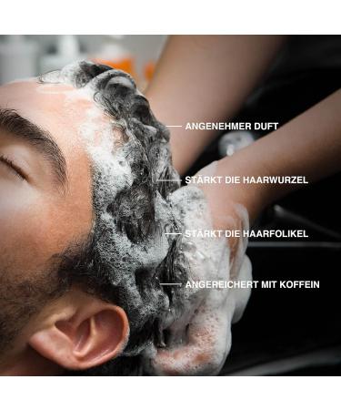 Charlemagne Kaffein Shampoo Set for Men - Anti Hair Loss Caffeine Shampoo 200ml (2 Pack) - Best Shampoo for Men - Buy Online on GoSupps.com