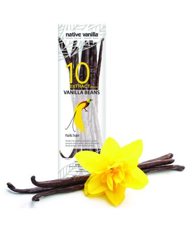 Native Vanilla Grade B Tahitian Vanilla Beans  10 Total Premium Extract Whole Pods  For Chefs and Home Baking, Cooking & Extract Making  Homemade Vanilla Extract Tahitian Vanilla 10 Count (Pack of 1)
