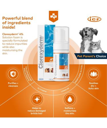 Clorexyderm 4% Foam Mousse Dry Shampoo for Dogs & Cats - Antibacterial & Antifungal - 100 ml - Relieves Dry Itchy Skin, Moisturizes & Softens Coat - Buy Online on GoSupps.com