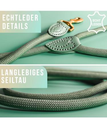 Ne & No Touting Training Leash for Dogs | 1.2m Robust Braided Rope Leash | Sage Green Dog Leash with Hand Loop - Buy Online on GoSupps.com