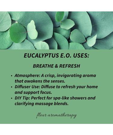Eucalyptus Essential Oil 110ml 100% Pure Eucalyptus globulus Steam Distilled GC/MS Tested Clarifying & Fresh Aroma Therapeutic Grade Fleur Aromatherapy Eucalyptus 3.72 Fl Oz (Pack of 1) - Buy Online on GoSupps.com