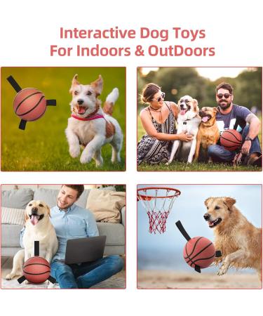 Hetoo Interactive Dog Toys - Basketball Tug-of-War Durable Balls & Puppy Gift for Small to Medium Dogs - Buy Online on GoSupps.com