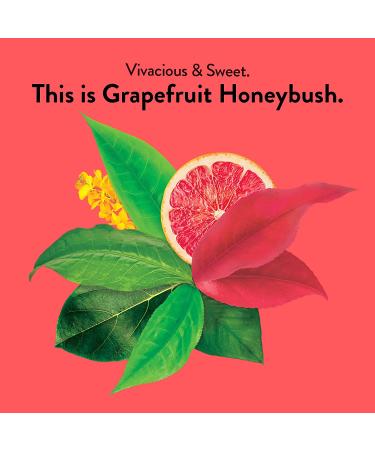 Choice Organic Teas Grapefruit Honeybush Herbal Tea - Caffeine Free, 16 Bags (1.02 oz) - Buy Online on GoSupps.com