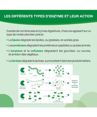 Nutergia Digestive enzymes Hearty meal Disturbed digestion digestive sensitivity Good functioning of digestive enzymes Food supplement 40 Capsules Made in France - Buy Online on GoSupps.com