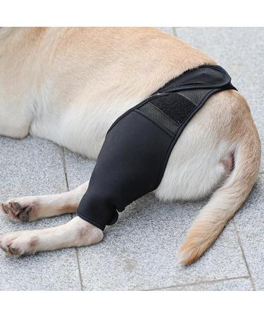 Hip Brace for Dogs - Flexible Hip Brace for Dogs Dog Hip Joint Brace for Torn ACL Patella Luxation Osteoarthritis Limping from Joint Hip Dysplasia Kot-au Black Medium - Buy Online on GoSupps.com