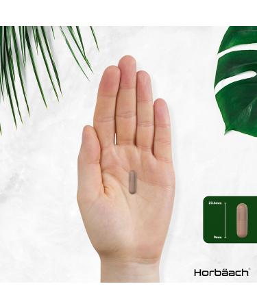 Pine Bark Extract 400mg | 180 Capsules | High Strength 15:1 | 95% Proanthocyanidins | Horbaach - Buy Online on GoSupps.com
