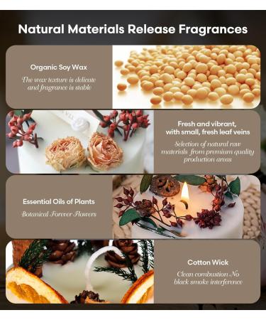 Candles Clearance | Eucalyptus & Orange Aromatherapy | 10 oz Handmade Soy Candles | 45 Hour Burn | Perfect Gift for Men & Women - Buy Online on GoSupps.com