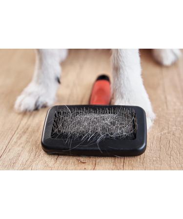 Lambskin Brush for Pets - Universal Care Brush for Dogs & Cats | Soft Grip Long & Short Hair Fur Brush | Black/Red - Buy Online on GoSupps.com