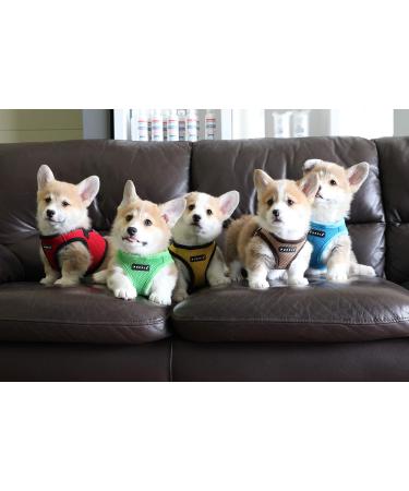 Puppia Soft Vest Dog Harness for Small & Medium Dogs - Stylish Comfortable & Versatile - Anti-Tanning Crockery for Puppies - Available in Multiple Colors - Buy Online on GoSupps.com
