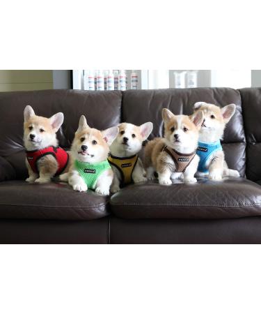 Puppia Dog Harness for Small & Medium Dogs - Soft Vest in Multiple Colors | Atanizzenwichter for Puppies - Yellow M - Buy Online on GoSupps.com