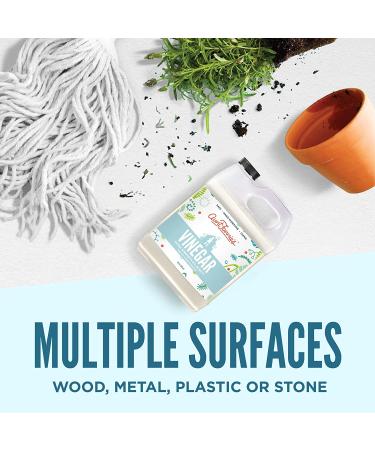 Aunt Fannie's 6% Distilled White Cleaning Vinegar - 33 Fl Oz | Multipurpose Household Cleaner - Buy Online on GoSupps.com