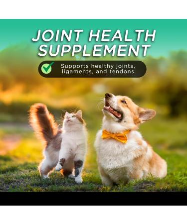 Only One Treats Green Lipped Mussel Powder Hip and Joint Supplement for Dogs and Cats Natural Pet Treats with Glucosamine to Improve Pet Mobility Cardiovascular and Immune Health (150 g) - Buy Online on GoSupps.com