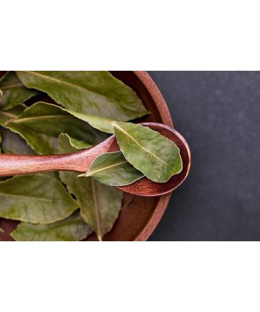 Dried Bay Leaves 20g - Authentic Indian Curry Spice for Biryani, Curries, Rice & Snacks | Harry Harvey - Buy Online on GoSupps.com