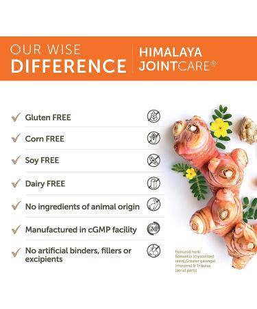Himalaya JointCare - 120 Vegetarian Capsules for Joint Health & Mobility - Buy Online on GoSupps.com