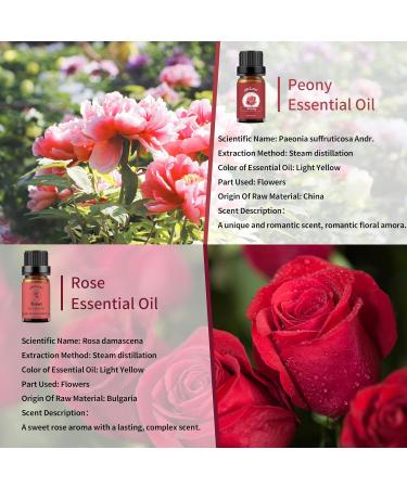 yethious Organic Rose & Peony Essential Oil Set - 2x10ML for Diffuser Skincare & Candle Making - Natural Floral Oils Gift - Buy Online on GoSupps.com